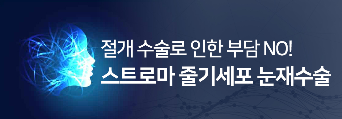이미지명