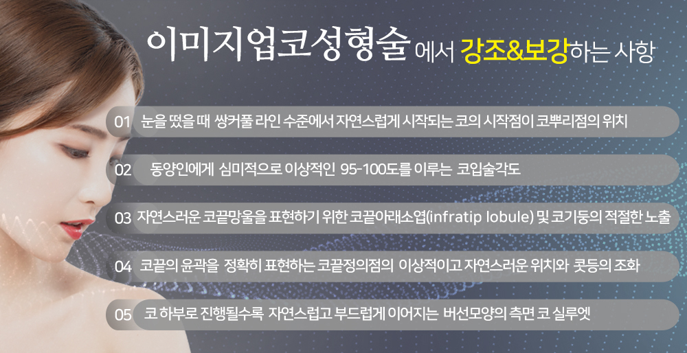 이미지명