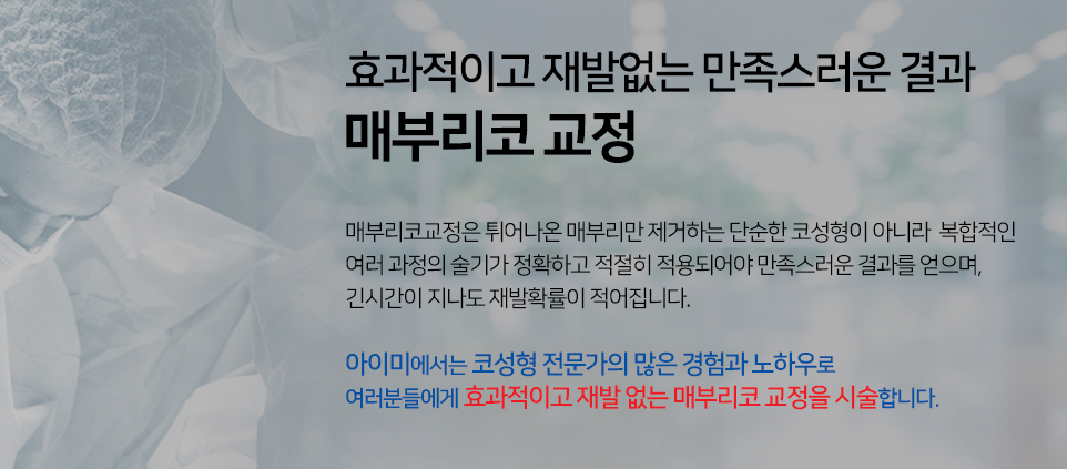 이미지명