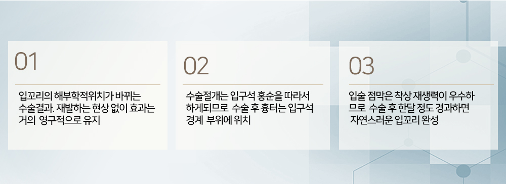 이미지명