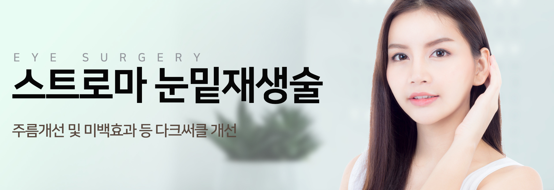 이미지명