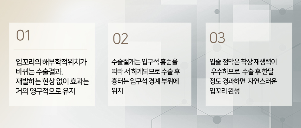 이미지명