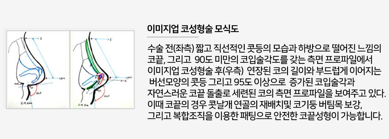 이미지명