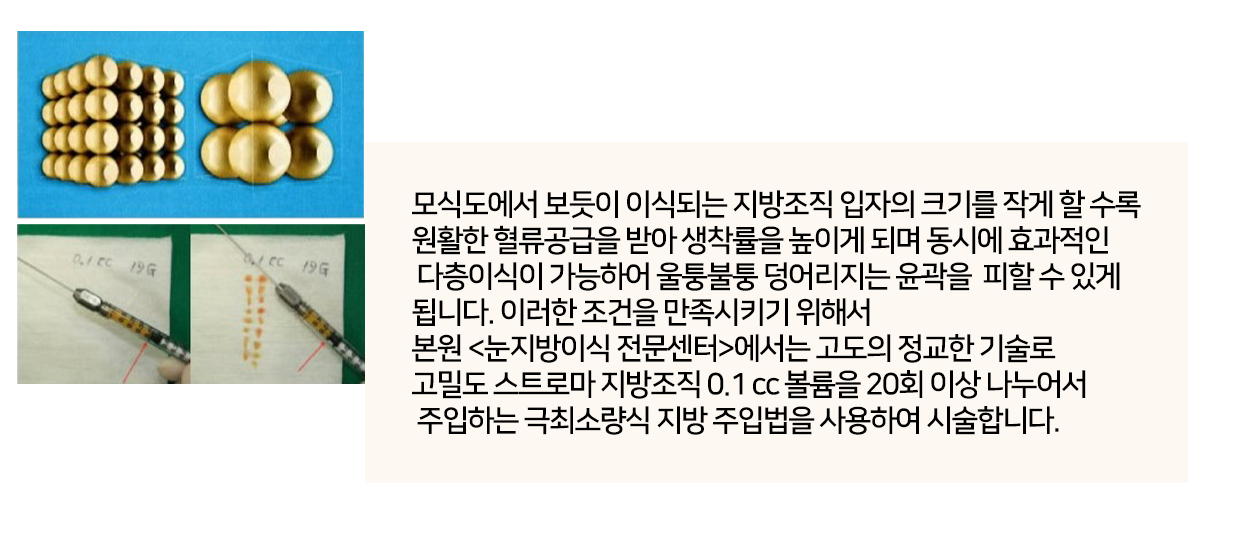 이미지명