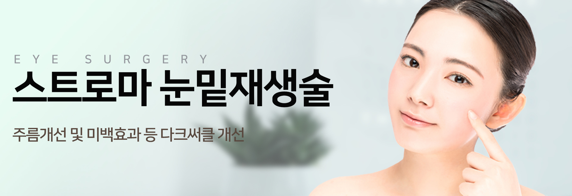 이미지명
